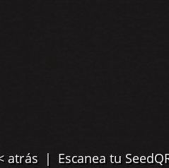 Cámara escaneando código QR transcrito